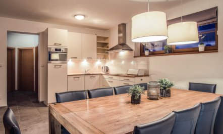 Residence Lipno Apartment 3 3