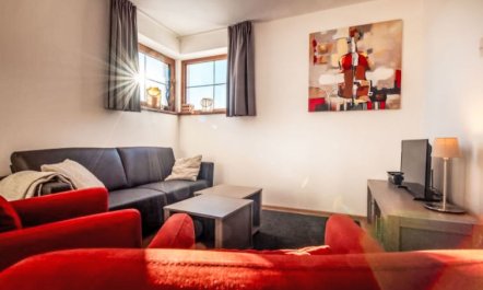Residence Lipno Apartment 2 7