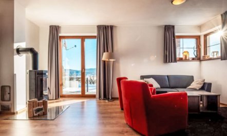 Residence Lipno Apartment 7 6