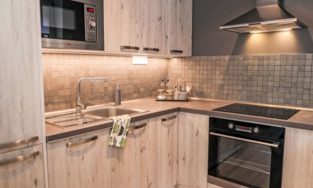 Schober Apartment 9 3