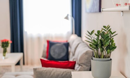 Schober Apartment 9 6