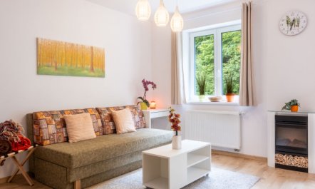 Forest & Sauna Apartment 2 2