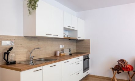 Forest & Sauna Apartment 2 3