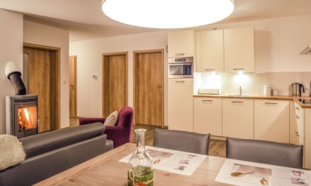 Residence Lipno Apartment 5 3