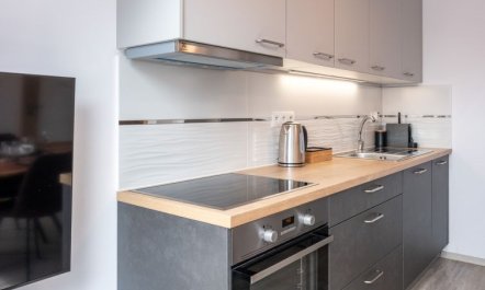 Miner's Lodge & Sauna Apartment 15 5