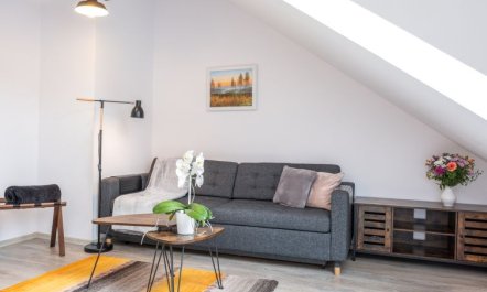 Miner's Lodge & Sauna Apartment 15 2