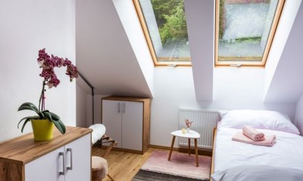 Pink Mandala Apartment 13 7