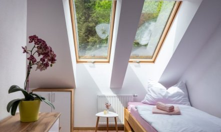 Pink Mandala Apartment 13