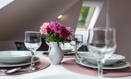 Pink Mandala Apartment 13 6