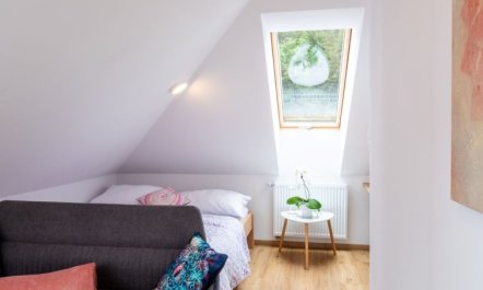 Pink Mandala Apartment 13 3