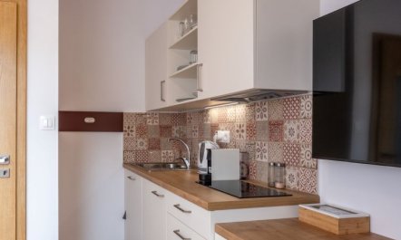 Pink Mandala Apartment 13 5