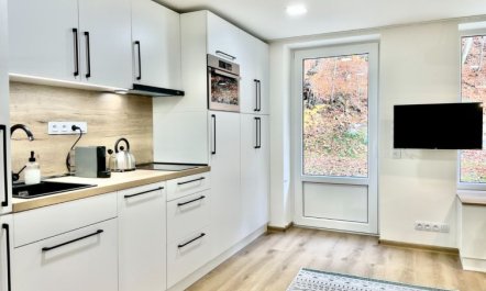 Port Jáchymov Apartment 2 2