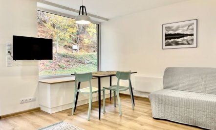 Port Jáchymov Apartment 2