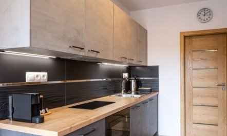 Miner´s Lodge Mini Apartment 14 3