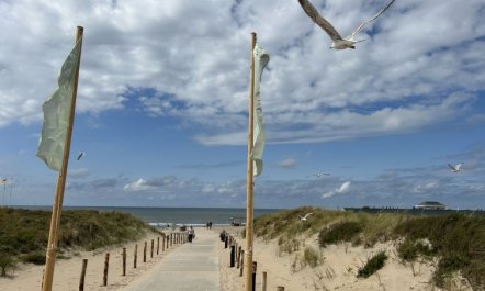 Alk 8 Holiday Home 2 4