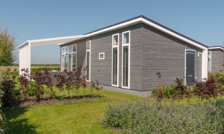 Ruisweg 39 Apartment 12 5