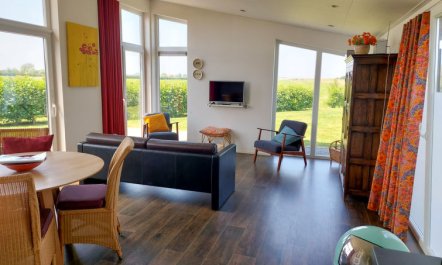 Ruisweg 51 Apartment 5 5