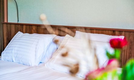 Zen Kitchen & Boutique Hotel 5