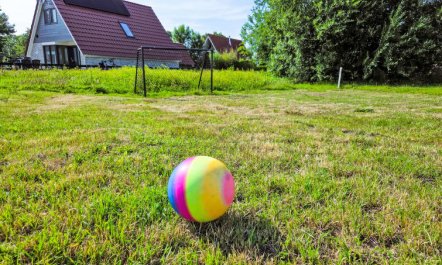 De Wieringerheid 164 6