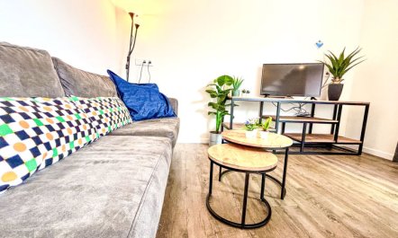 Beach House Westkapelle 103B Apartment 5 5