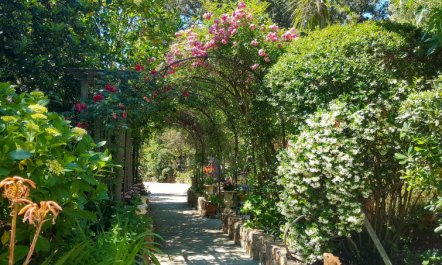 T2 2 pers 30/32m² 3