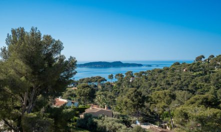 Mont des Oiseaux Apartment 2