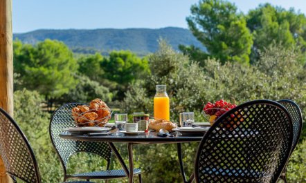 Provence Country Club 4