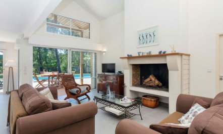 Clairière aux Chevreuils 2