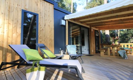 Premium Cocoon Holiday Home 3