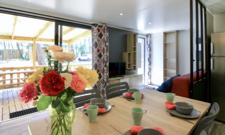 Premium Cocoon Holiday Home 3 3